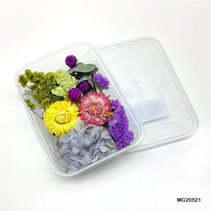 Dried Flowers for Resin Multiple Colorful Real Pressed Dry Flower Leav ...